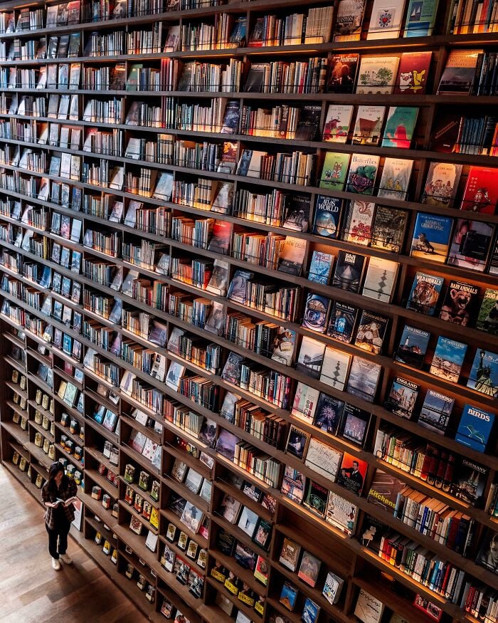 Grande e grandiosa biblioteca com extensas estantes cheias de livros e uma pessoa lendo dentro do espa&ccedil;o aconchegante.
