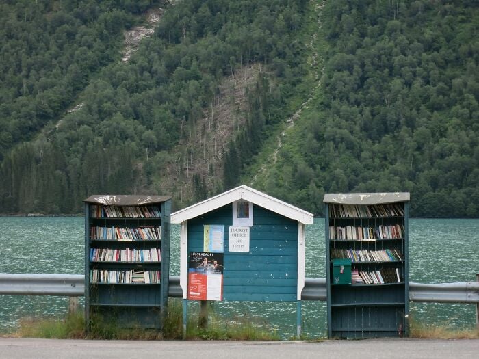 Prateleiras de biblioteca ao ar livre &agrave; beira do lago com livros ao lado de um pequeno escrit&oacute;rio de turismo azul, cercado por uma exuberante floresta verde.